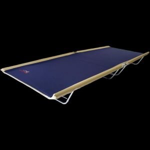 import placeholder for 3161